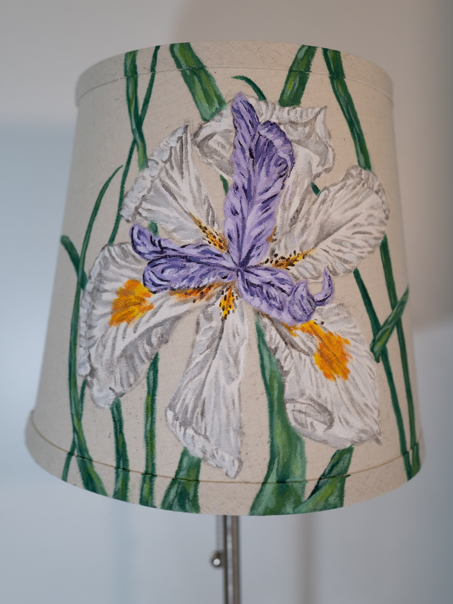 Iris in Bloom
